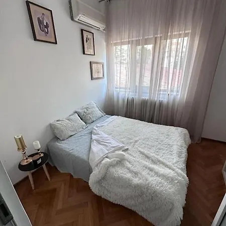 Maison Vianu 펜션 *