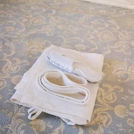 Maison Vianu * 布加勒斯特